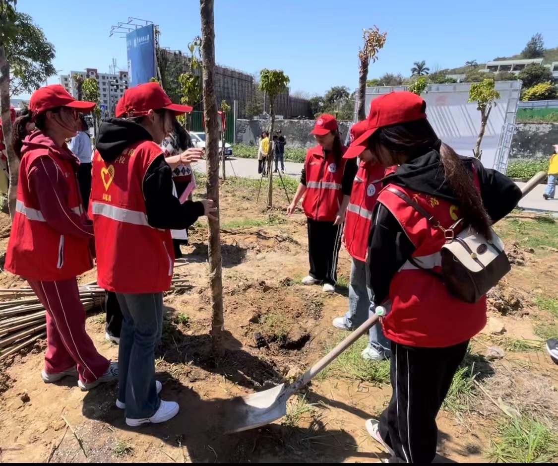 TIMI��ϣ��Ϸ